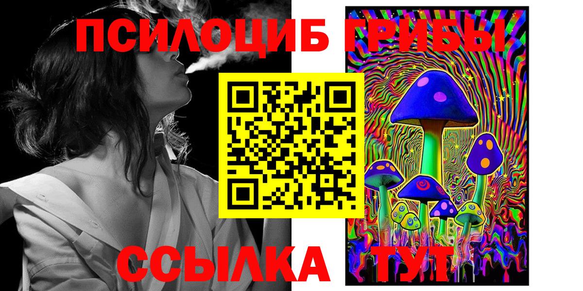 Псилоцибиновые грибы Psilocybe Выкса