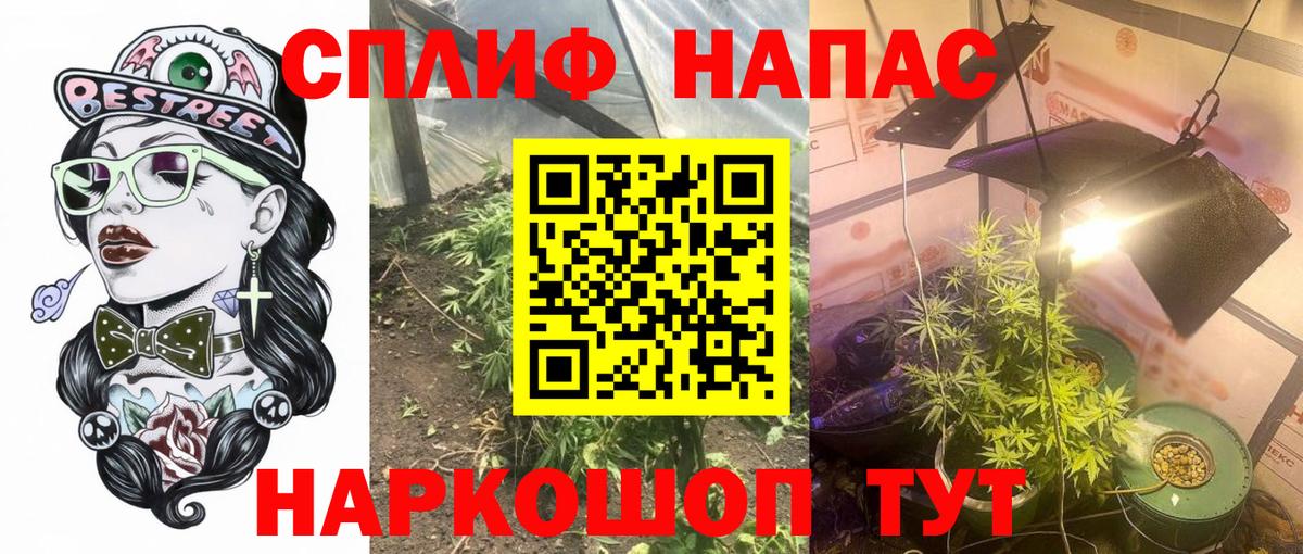 Бошки марихуана сатива  Шишки марихуана гибрид  Выкса  Вход с VPN 